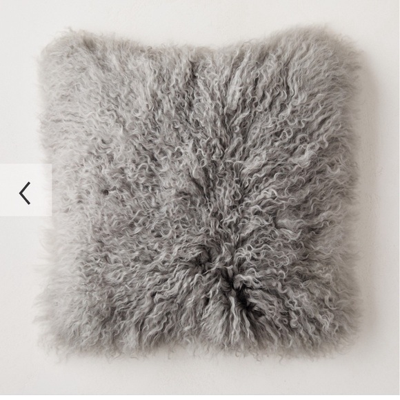 West elm fur pillow - Picture 3 of 10